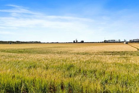 Photo of property in 215 Falvey Road, Levels, Timaru, 7975