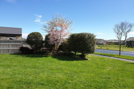 Photo of property in 4 Mckinnon Street, Leamington, Cambridge, 3432