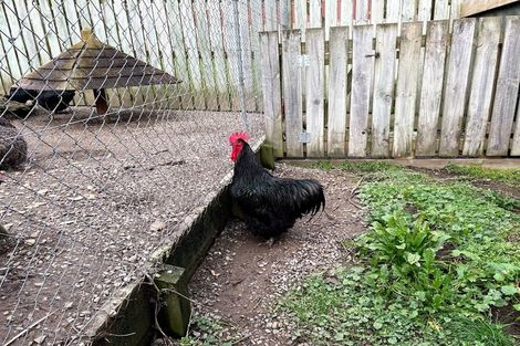 Photo of property in 22 Churchill Crescent, Shannon, 4821