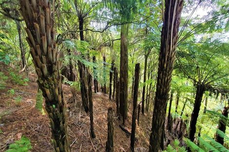 Photo of property in 61 Brick Bay Drive, Sandspit, Warkworth, 0982