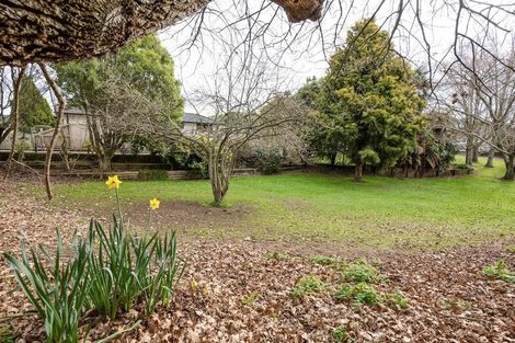 Photo of property in 13 Okoroire Street, Tirau, 3410