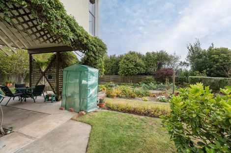 Photo of property in 22 Hebberd Place, Richmond, 7020