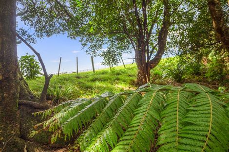 Photo of property in 9 Betty May Drive, Pyes Pa, Tauranga, 3173