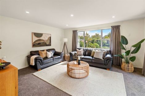 Photo of property in 8 Springwater Avenue, Northwood, Christchurch, 8051