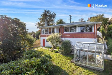 Photo of property in 86 Skibo Street, Kew, Dunedin, 9012