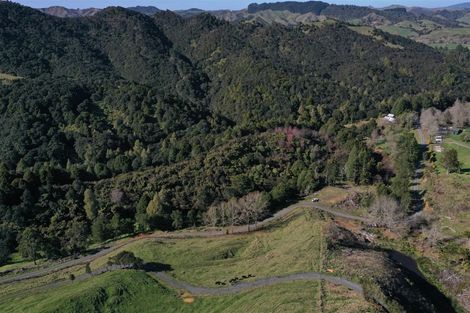 Photo of property in 128c Otonga Valley Road, Raglan, 3295