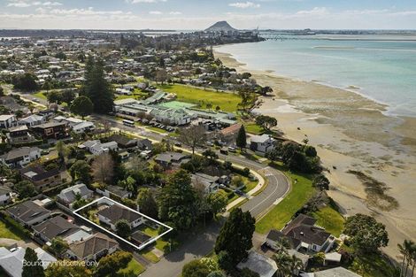 Photo of property in 13 Burrows Street, Tauranga South, Tauranga, 3112