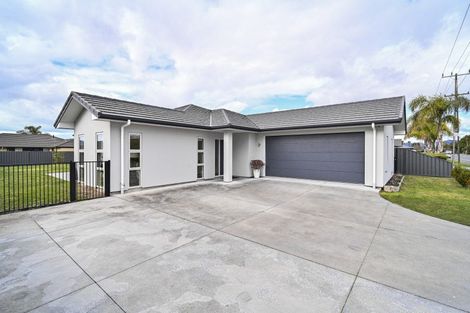 Photo of property in 905 Williams Street, Mahora, Hastings, 4120