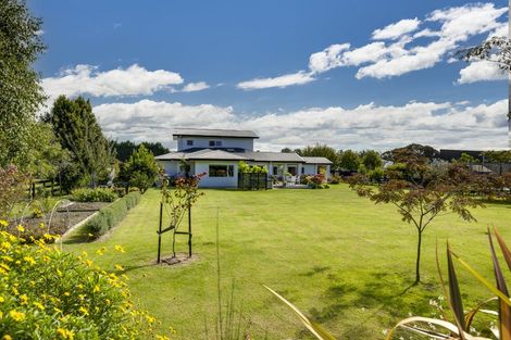 Photo of property in 73 Mcelwee Street, Jervoistown, Napier, 4112