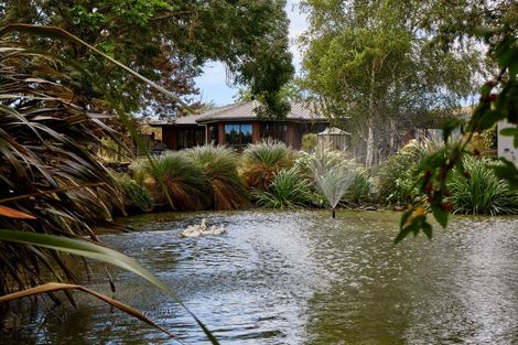 Photo of property in 22 Reeves Street, Cheviot, 7310