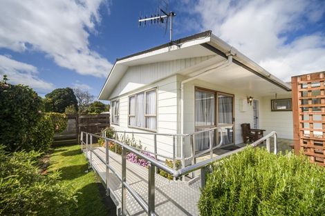 Photo of property in 135 Salisbury Street, Ashhurst, 4810