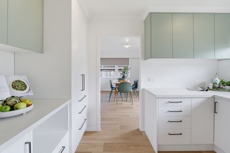 Photo of property in 423 Ruahine Street, Terrace End, Palmerston North, 4410