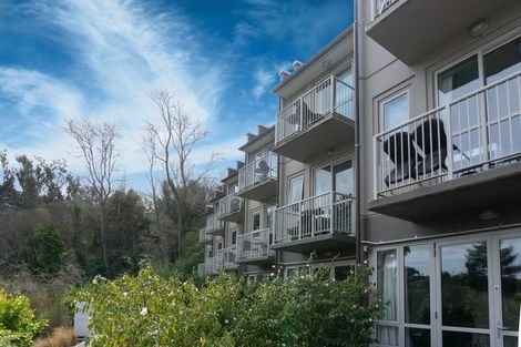 Photo of property in 73 Buccleugh Street, North East Valley, Dunedin, 9010