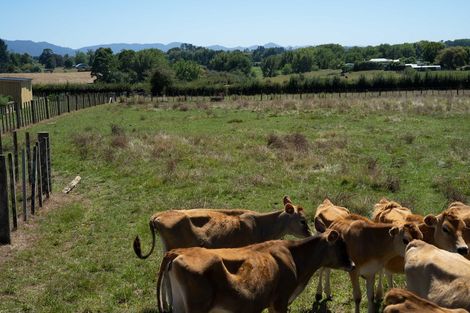 Photo of property in 10 Woolrich Road, Te Kowhai, Hamilton, 3288