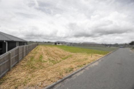 Photo of property in 38 George Street, Bulls, 4818