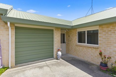 Photo of property in 61b Winchester Street, Levin, 5510