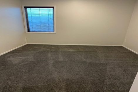 Photo of property in 22e Hunter Street, Hamilton Lake, Hamilton, 3204