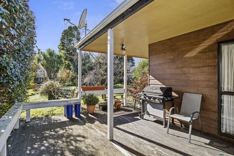 Photo of property in 42 Clarke Avenue, Te Aroha, 3320