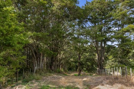 Photo of property in 289 Otuhi Road, Wheki Valley, Whangarei, 0179