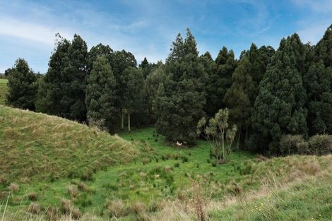 Photo of property in 25 Ryland Park, Levin, 5575