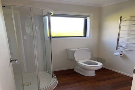 Photo of property in 49 Tame Porati Street, Manakau, Levin, 5573