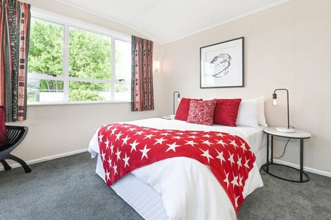 Photo of property in 909a Dufferin Street, Akina, Hastings, 4122