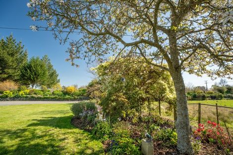 Photo of property in 146 Wairoa Gorge Road, Brightwater, 7091