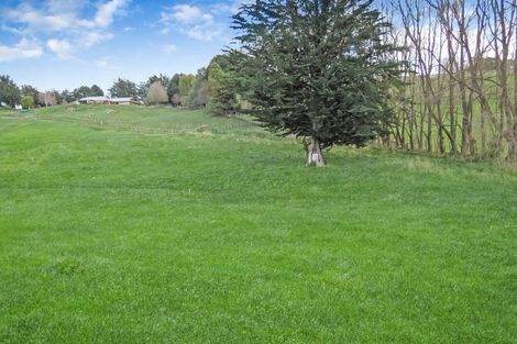 Photo of property in 17c Teal Avenue, Feilding, 4775