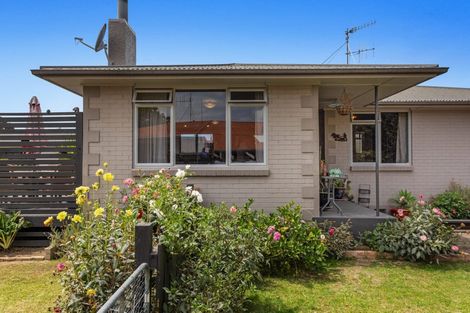 Photo of property in 44 Riverside Drive, Whakatane, 3120