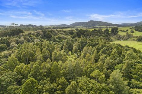 Photo of property in 559 Old Kaipara Road, Kaipara Flats, Warkworth, 0981