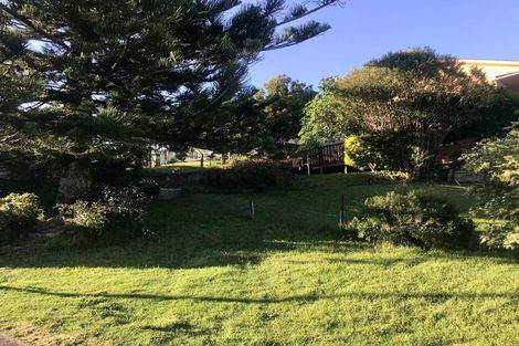 Photo of property in 27 Kohekohe Street, New Lynn, Auckland, 0600