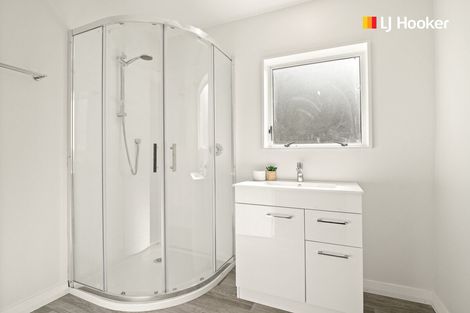 Photo of property in 38 Carr Street, North East Valley, Dunedin, 9010