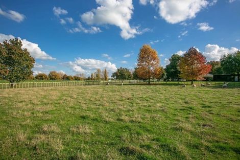 Photo of property in 24 Temm Road, Te Poi, Matamata, 3473