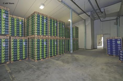 Photo of property in 11 Trig Road, Waihi, 3681