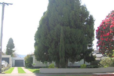 Photo of property in 42 Lynmore Avenue, Lynmore, Rotorua, 3010