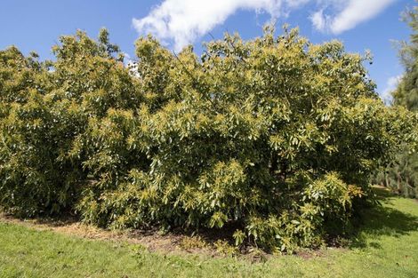Photo of property in 1555c State Highway 2, Whakamarama, Katikati, 3181