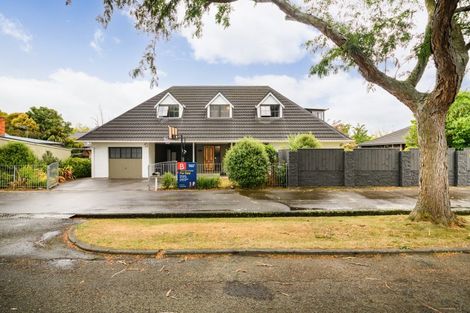 Photo of property in 8 Mcarthur Street, Terrace End, Palmerston North, 4410