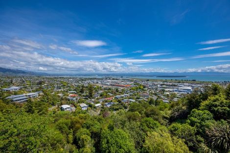 Photo of property in 27 Heemskerck Place, Britannia Heights, Nelson, 7010