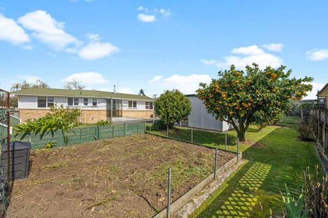Photo of property in 8 Cobham Drive, Morrinsville, 3300