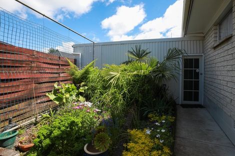 Photo of property in 31 Storey Avenue, Forest Lake, Hamilton, 3200