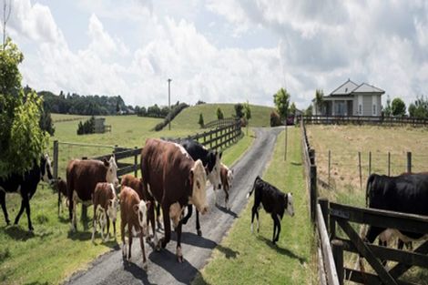 Photo of property in 83 Settlement Road, Puni, Pukekohe, 2678