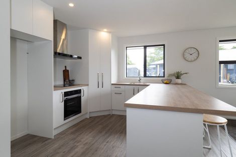 Photo of property in 20 David Street, Hinds, Ashburton, 7773