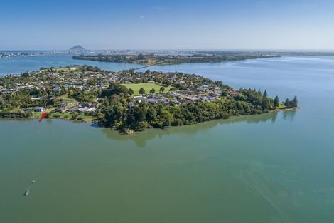 Photo of property in 14 Ebbtide Way, Maungatapu, Tauranga, 3112