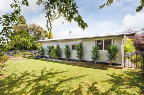 Photo of property in 10 Custom Street, Ashhurst, 4810