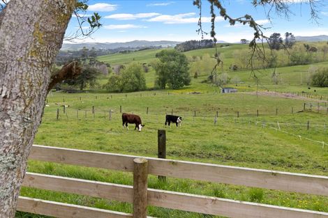 Photo of property in 407 Port Albert Road, Wellsford, 0972