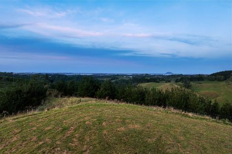 Photo of property in 371 Esdaile Road, Whakamarama, Tauranga, 3180
