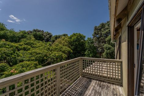 Photo of property in 863 Black Jack Road, Opito Bay, Whitianga, 3592