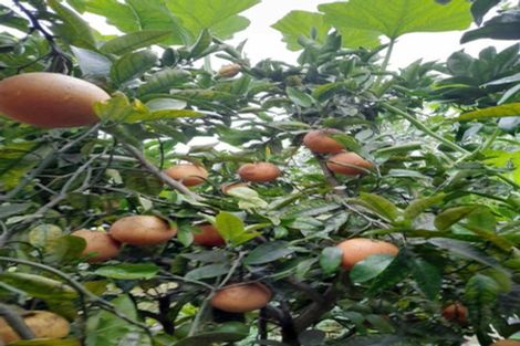 Photo of property in 10 Monmouth Place, Tamatea, Napier, 4112