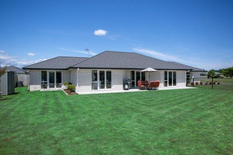 Photo of property in 97 Findlater Street, Matamata, 3400