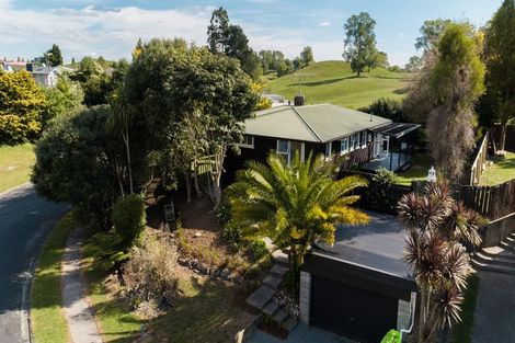 Photo of property in 110 Reservoir Street, Putaruru, 3411